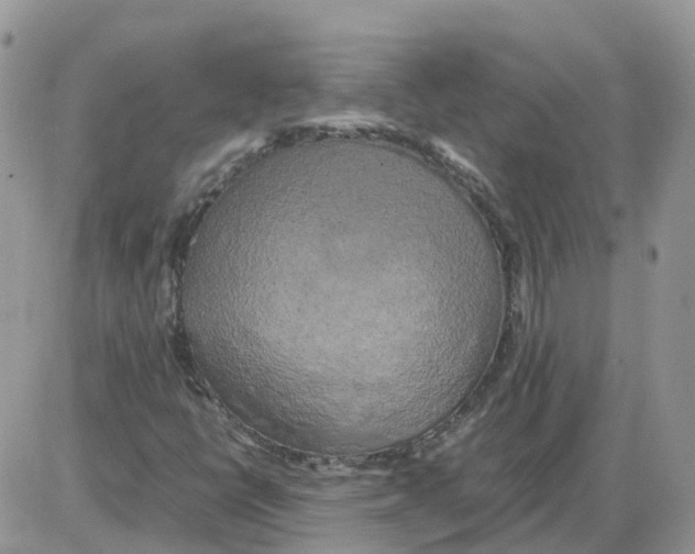X0000086011398200704201844