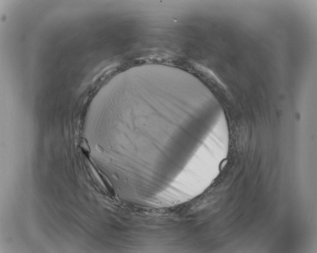 X0000086011399200704201844