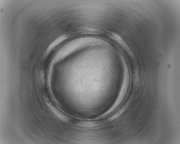 X0000086011402200704201845
