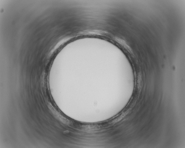 X0000086011404200704201845