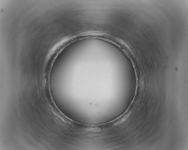 X0000086011406200704201845