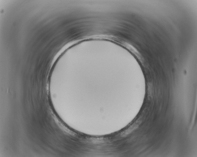 X0000086011428200704201845