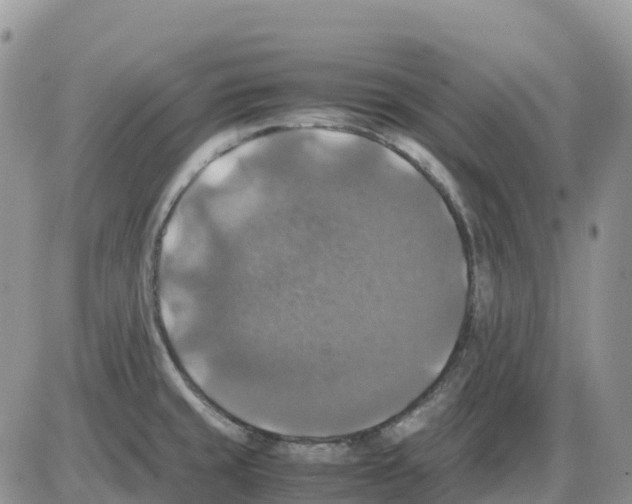 X0000086011429200704201845