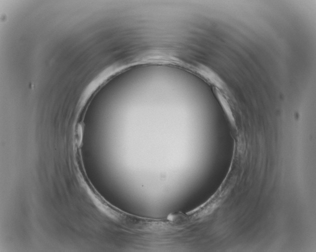 X0000086011430200704201845