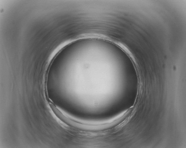 X0000086011438200704201845