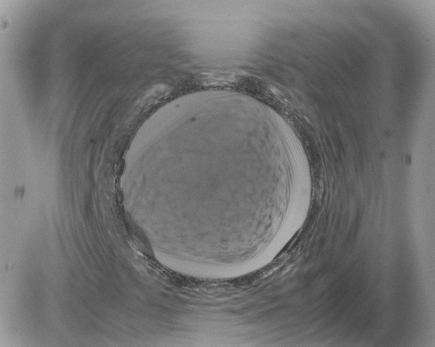 X0000086011441200704201844