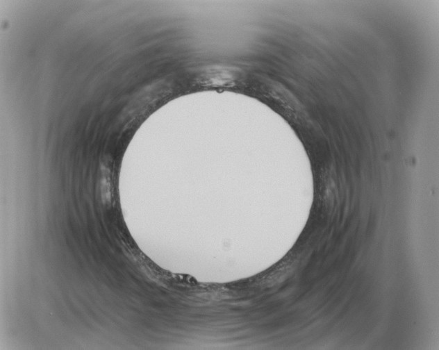 X0000086011442200704201844