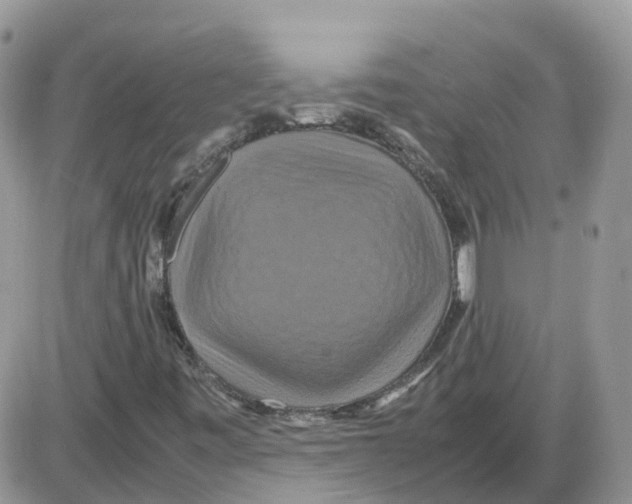 X0000086011443200704201844