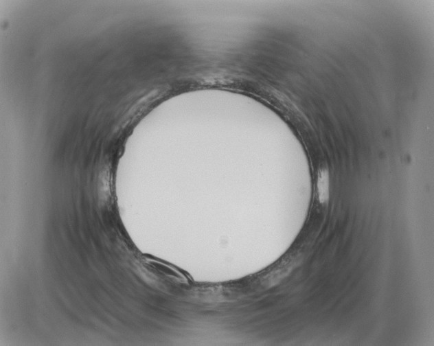 X0000086011444200704201844