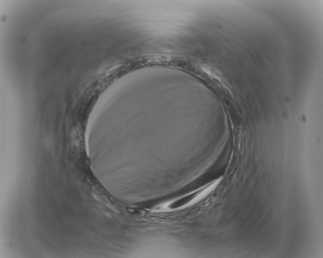 X0000086011445200704201844