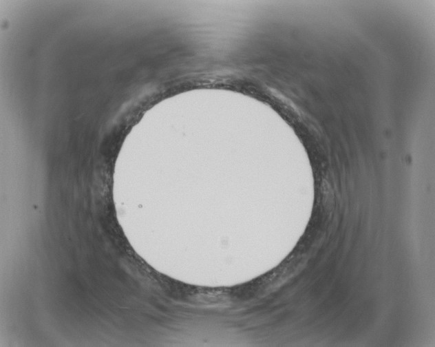 X0000086011447200704201844
