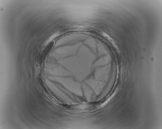 X0000086011449200704201844