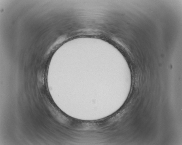 X0000086011451200704201844