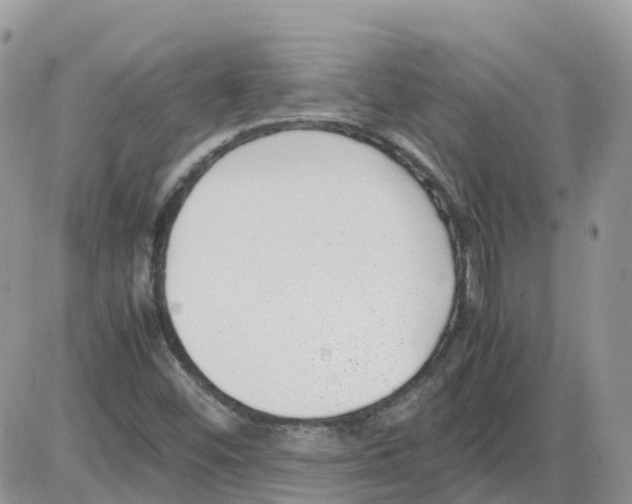 X0000086011452200704201844