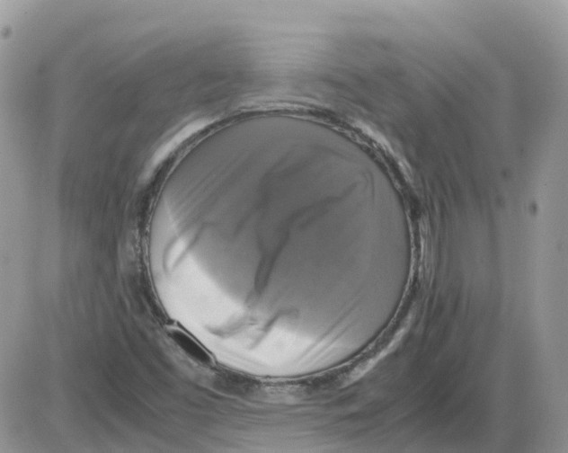 X0000086011453200704201844