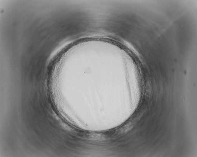 X0000086011456200704201844