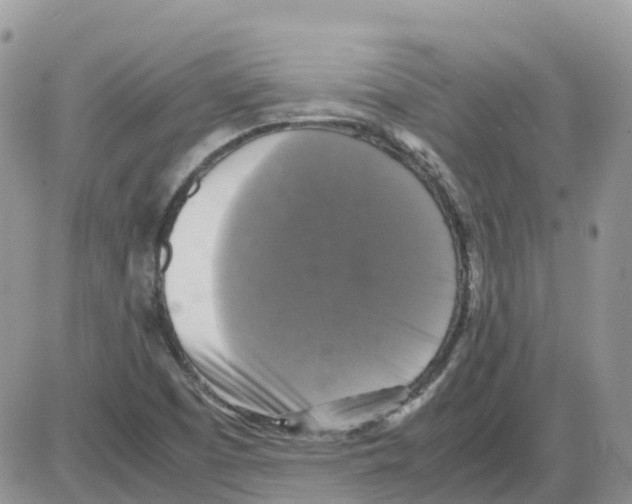 X0000086011457200704201844