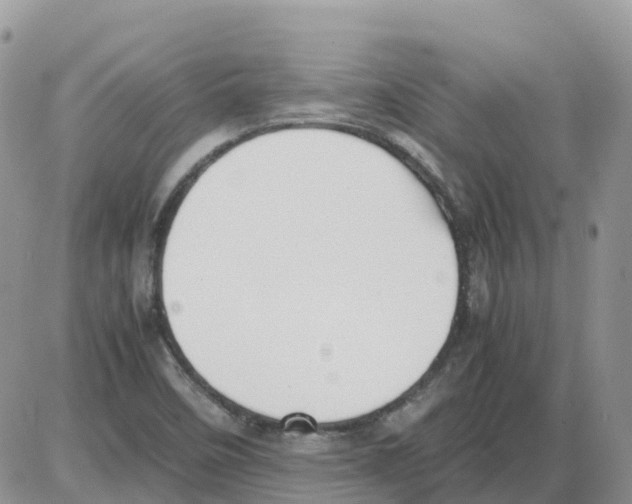X0000086011458200704201844