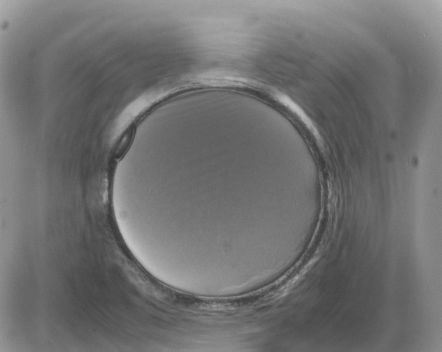 X0000086011461200704201844