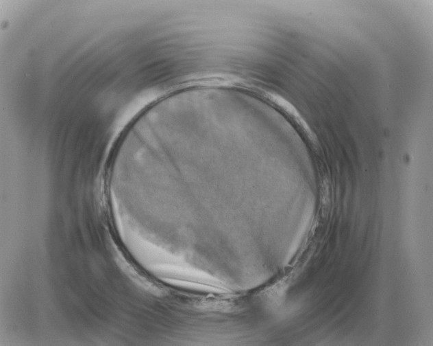 X0000086011466200704201844
