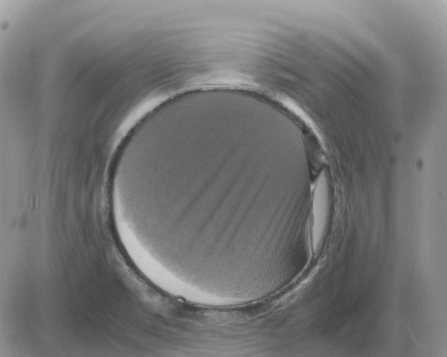 X0000086011469200704201844