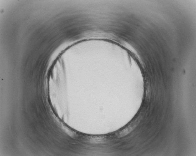 X0000086011472200704201844