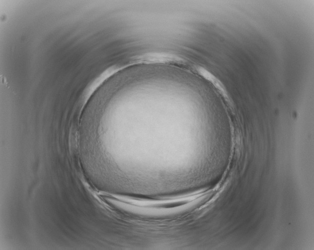 X0000086011473200704201844