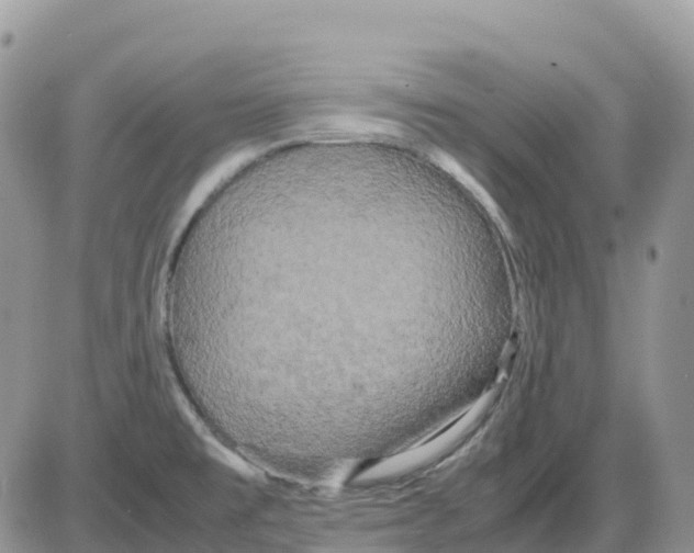 X0000086011477200704201844