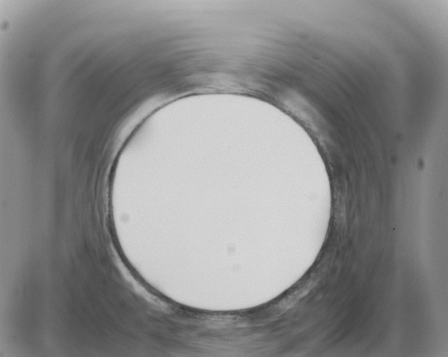 X0000086011479200704201844