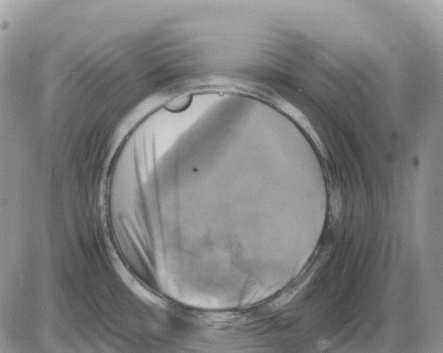 X0000086011482200704201844