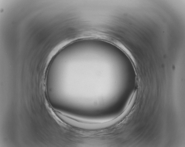 X0000086011485200704201844