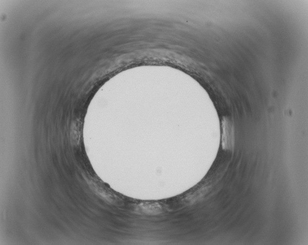 X0000086011491200704201843