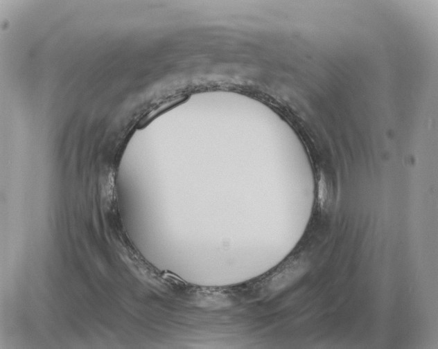 X0000086011492200704201843
