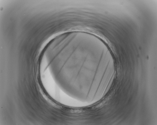X0000086011515200704201843