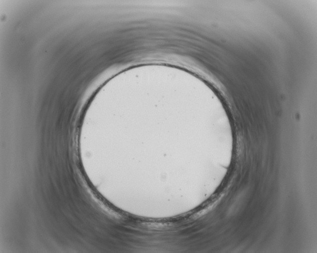 X0000086011517200704201843