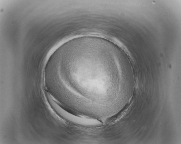 X0000086011520200704201843