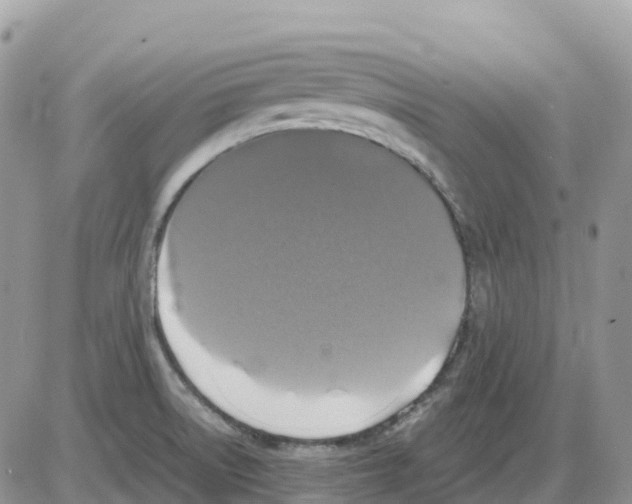 X0000086011522200704201843