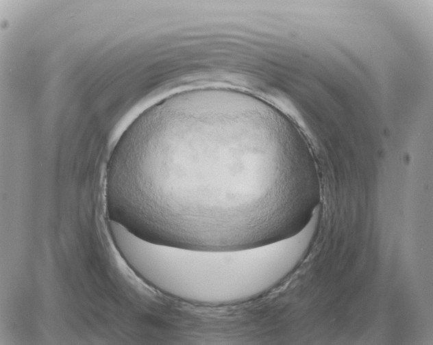 X0000086011524200704201843