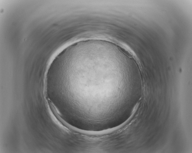 X0000086011528200704201843