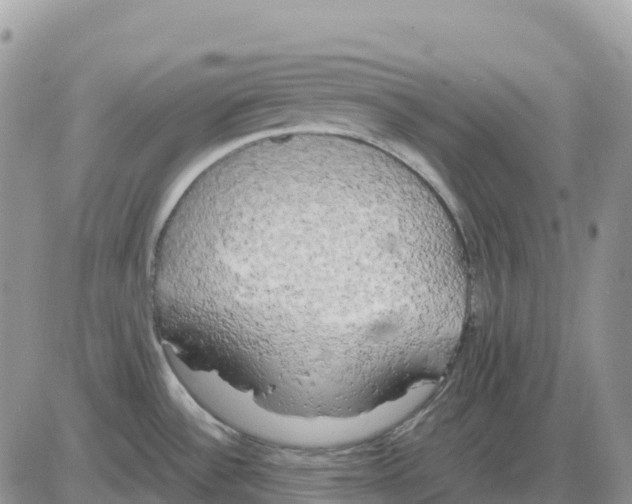 X0000086011532200704201844