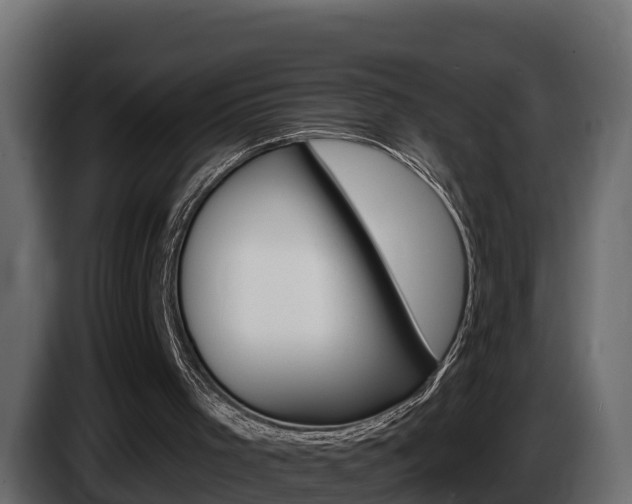 X0000086020001200703230943