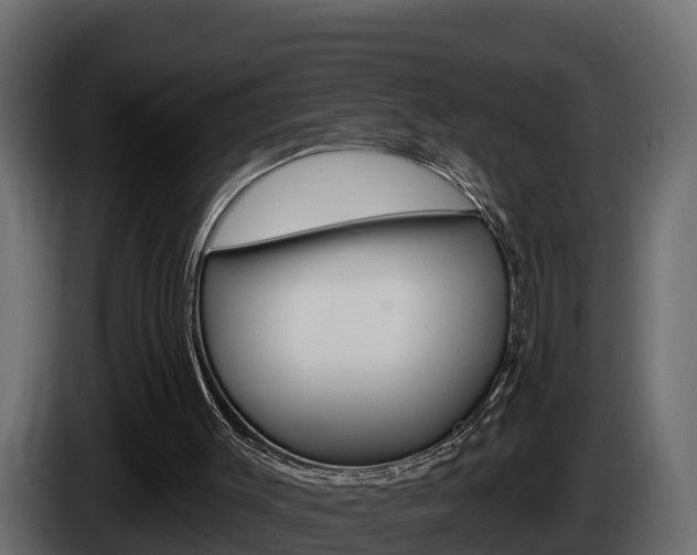 X0000086020003200703230943