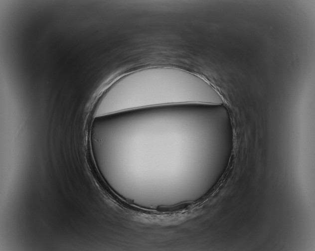 X0000086020005200703230943