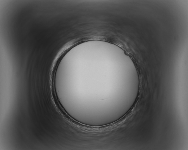 X0000086020006200703230943