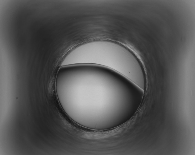 X0000086020009200703230943