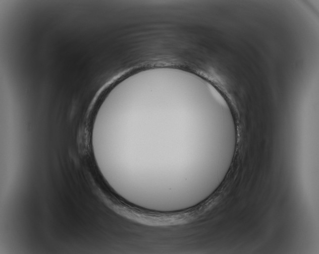 X0000086020012200703230942