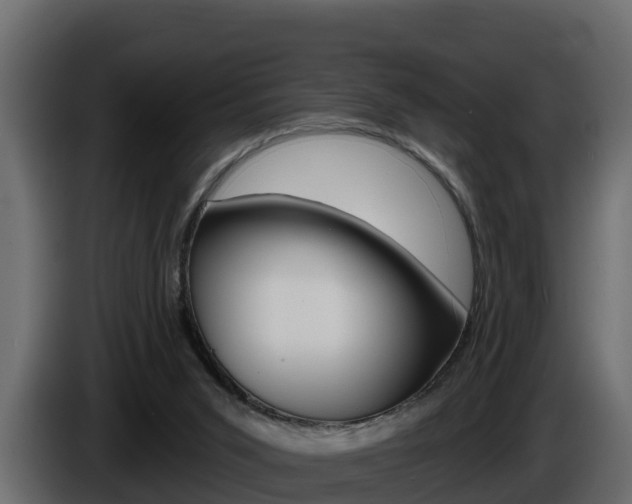 X0000086020015200703230942
