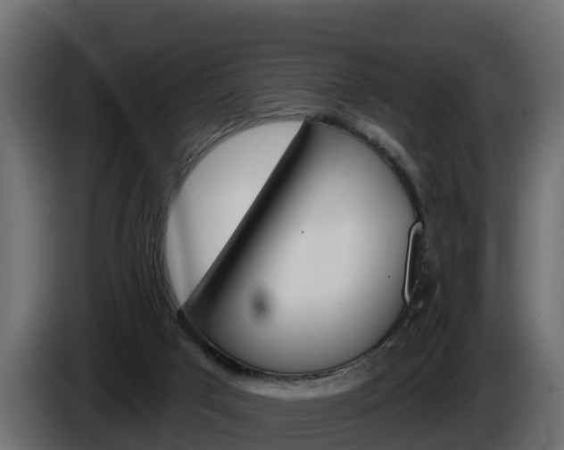 X0000086020017200703230942
