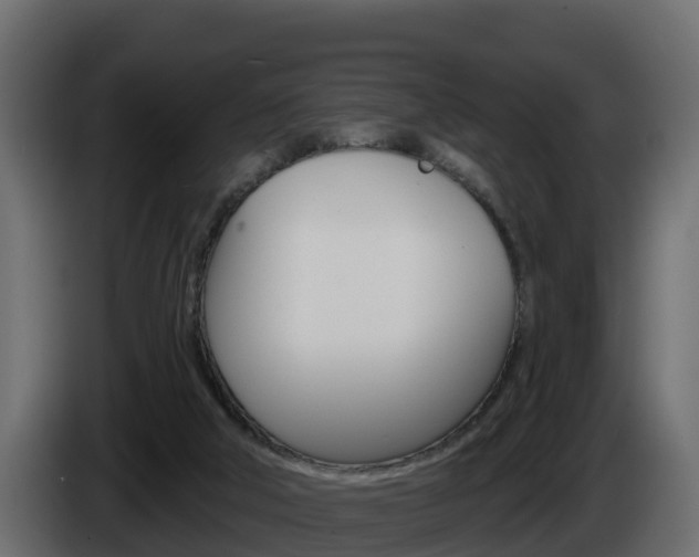 X0000086020018200703230942