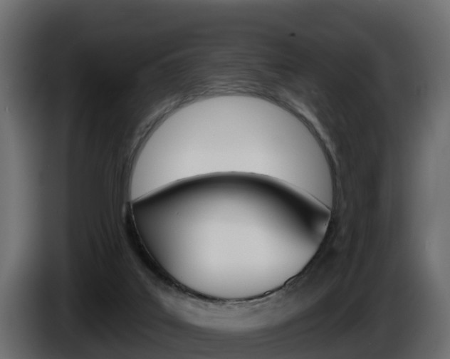 X0000086020019200703230942